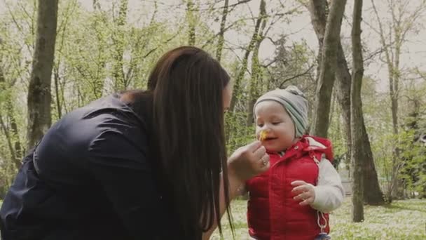 Mamma går med barnet på en vacker solig dag — Stockvideo