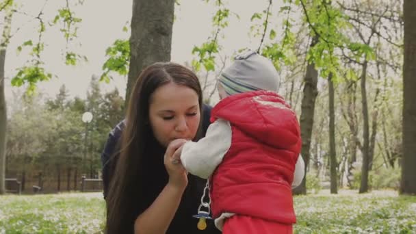 Mamma cammina con il bambino in una bella giornata di sole — Video Stock