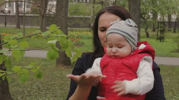 Mamma går med barnet på en vacker solig dag — Stockvideo