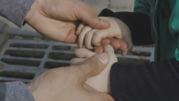 Familjen leker med barnet på en vacker solig dag — Stockvideo