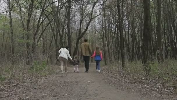 The family plays with the child on a beautiful sunny day — Stock Video