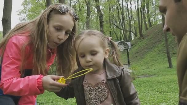 La famille joue avec l'enfant par une belle journée ensoleillée — Video