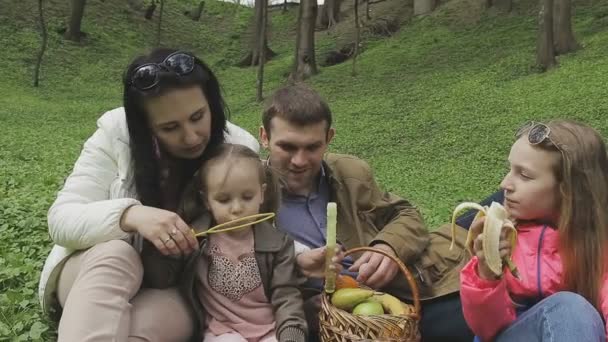 La famille joue avec l'enfant par une belle journée ensoleillée — Video