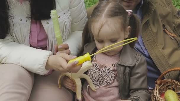 La familia juega con el niño en un hermoso día soleado — Vídeos de Stock