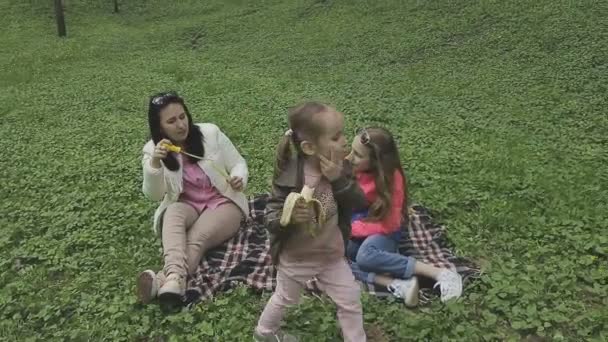 Сім'я грає з дитиною в красивий сонячний день — стокове відео