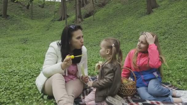 美しい晴れた日に子供と家族再生 — ストック動画