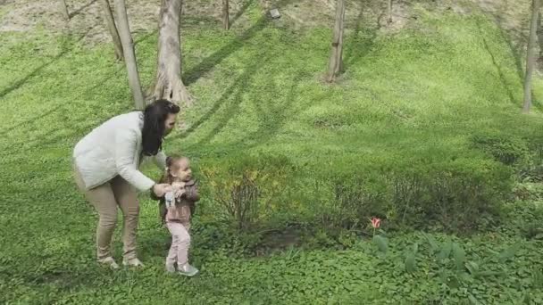 La familia juega con el niño en un hermoso día soleado — Vídeo de stock