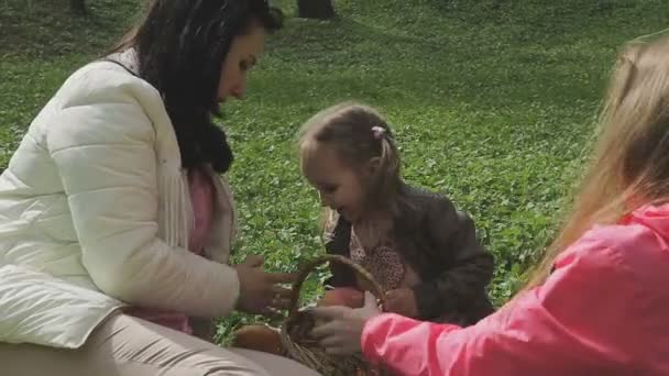 Сім'я грає з дитиною в красивий сонячний день — стокове відео
