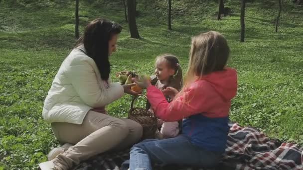 De familie speelt met het kind op een mooie zonnige dag — Stockvideo