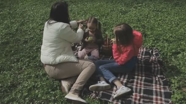 The family plays with the child on a beautiful sunny day — Stock Video