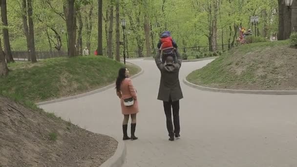 The family plays with the child on a beautiful sunny day — Stock Video