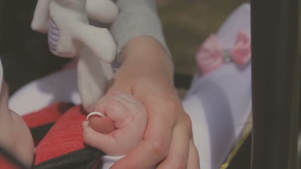 Hermosa mujer caminando con su pequeña hija y empujando cochecito en el parque — Vídeos de Stock