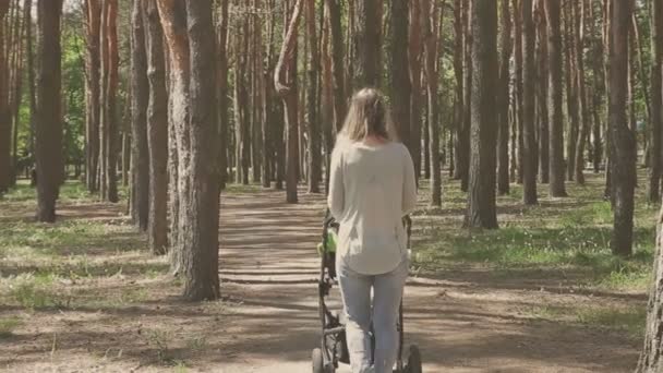 Mooie vrouw met haar dochtertje wandelen en kinderwagen te duwen in park — Stockvideo