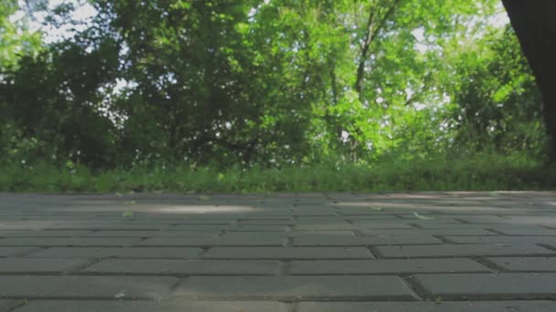 Fahrräder fahren auf dem Gehweg im Park — Stockvideo