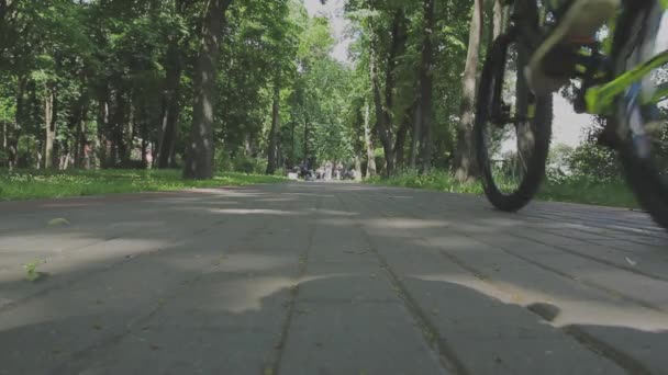 Bicicletas a lo largo de la acera del parque — Vídeos de Stock