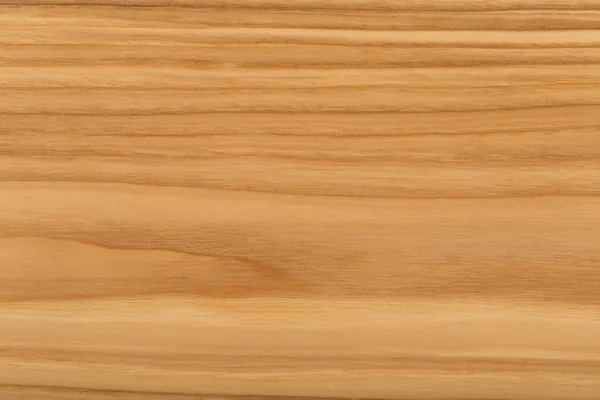 Wooden panel of natural wood, wood texture. — Stock Photo, Image