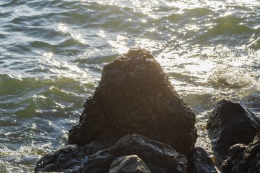 Dalgalar deniz kıyısında büyük kayalara karşı mücadele ediyoruz.