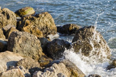 Dalgalar deniz kıyısında büyük kayalara karşı mücadele ediyoruz.