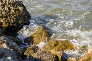 Dalgalar deniz kıyısında büyük kayalara karşı mücadele ediyoruz.