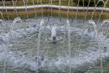 Ev bahçe veranda bitki ve akşam parti ışıkları küçük çeşme yakınındaki aydınlatılmış.
