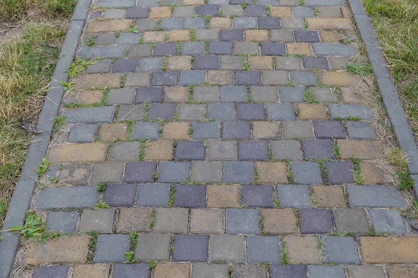 Sidewalk tiles with a new design, an exclusive product. — Stock Photo, Image