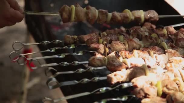 Voorbereiding van shish kebab op houtskool, scherpe op vlees. — Stockvideo