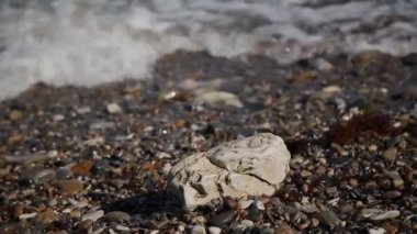 Dalgalar deniz karaya güneşli bir günde yüzmek.