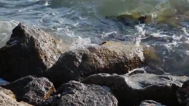 Onde marine combattono contro le rocce sulla riva . — Video Stock