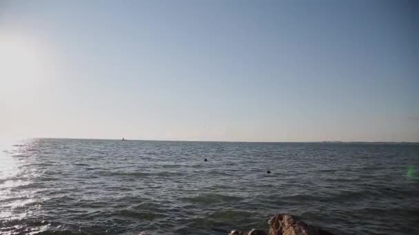 Golven van de zee zwemmen aan de wal op een zonnige dag. — Stockvideo