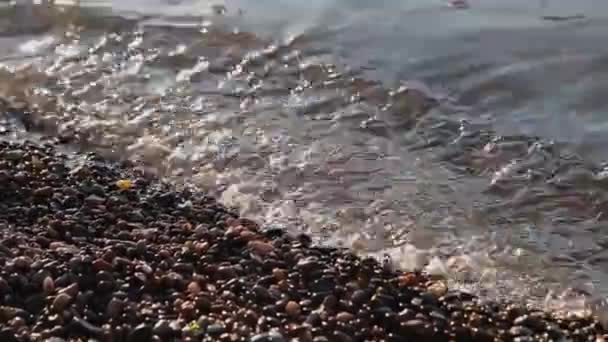 Golven van de zee zwemmen aan de wal op een zonnige dag. — Stockvideo