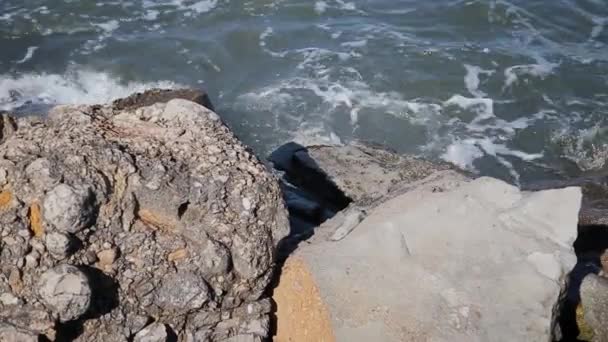 Fale morskie walczą o skały na brzegu. — Wideo stockowe