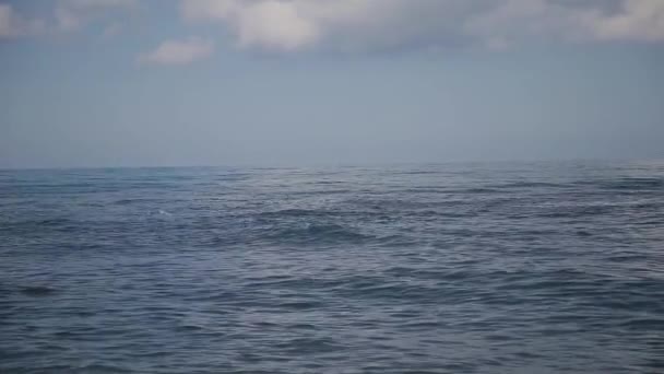 Mořské vlny doplavali na břeh za slunečného dne. — Stock video