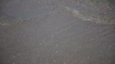 Dalgalar deniz karaya güneşli bir günde yüzmek.