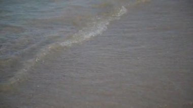 Dalgalar deniz karaya güneşli bir günde yüzmek.