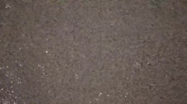 Dalgalar deniz karaya güneşli bir günde yüzmek.