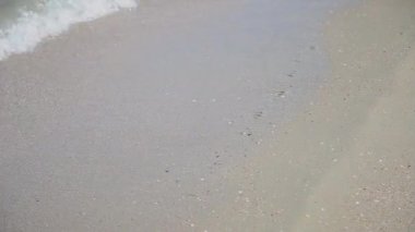 Dalgalar deniz karaya güneşli bir günde yüzmek.