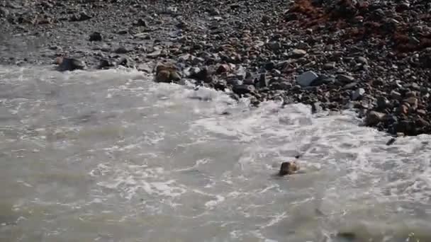 Le onde del mare nuotano a riva in una giornata di sole . — Video Stock