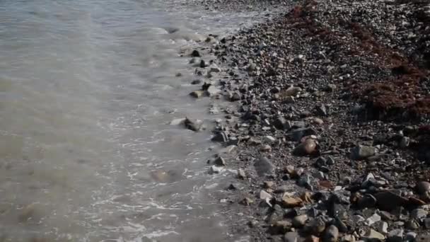 Golven van de zee zwemmen aan de wal op een zonnige dag. — Stockvideo