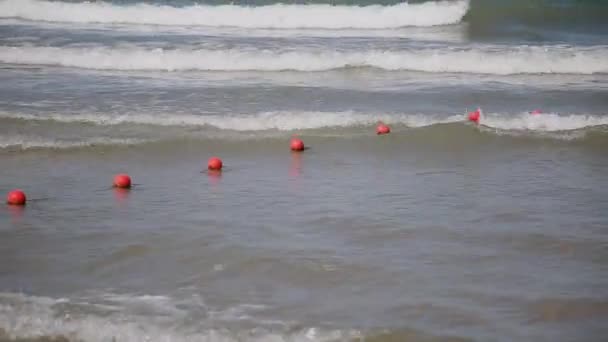 Морські хвилі плавають на березі в сонячний день . — стокове відео