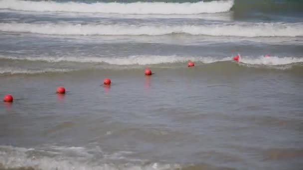 Le onde del mare nuotano a riva in una giornata di sole . — Video Stock