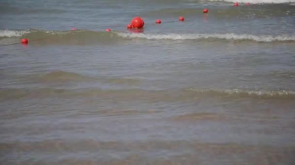 Las olas del mar nadan en tierra en un día soleado . — Vídeos de Stock