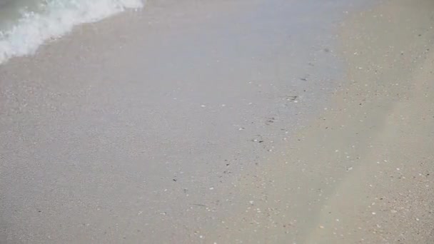 Les vagues de la mer nagent à terre par une journée ensoleillée . — Video