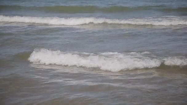 Ondas do mar nadam em terra num dia ensolarado . — Vídeo de Stock