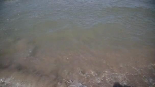 Ondas do mar nadam em terra num dia ensolarado . — Vídeo de Stock