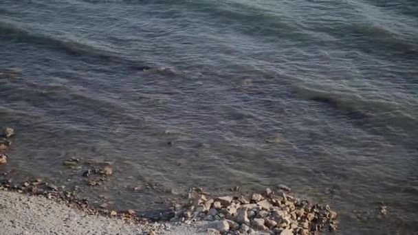 Golven van de zee zwemmen aan de wal op een zonnige dag. — Stockvideo