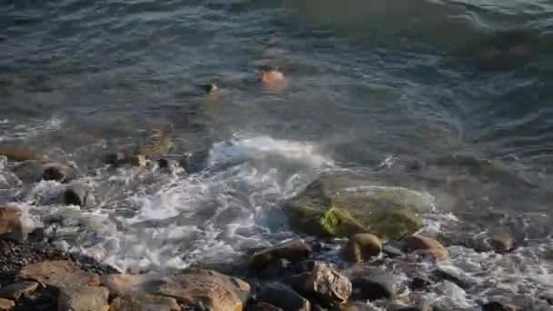 Onde marine combattono contro le rocce sulla riva . — Video Stock