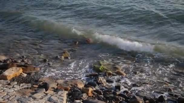 Meereswellen kämpfen gegen die Felsen am Ufer. — Stockvideo