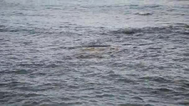 Les vagues de la mer nagent à terre par une journée ensoleillée .