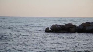 Dalgalar deniz karaya güneşli bir günde yüzmek.
