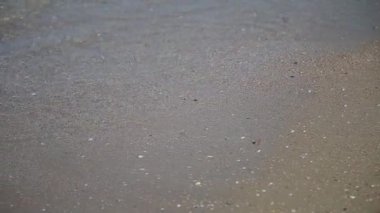 Dalgalar deniz karaya güneşli bir günde yüzmek.